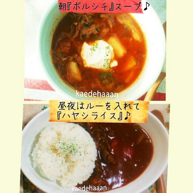 2種類変身ボルシチ風&ハヤシライス♪