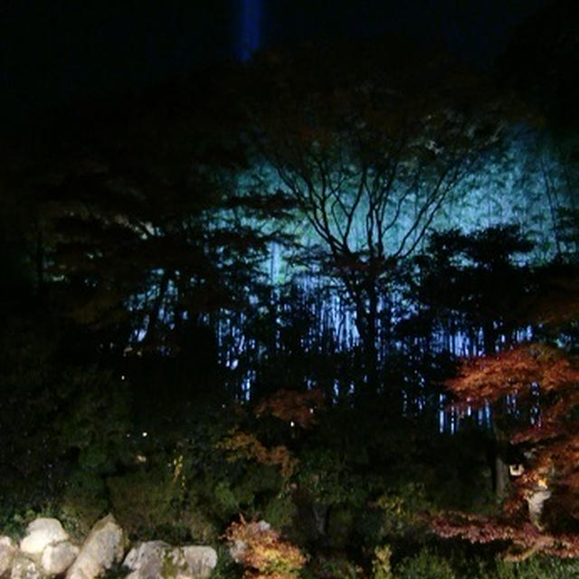 明日夜は2015年秋京のライトアップも堪能しましょ(^^)♪