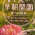 ハスの花　早朝鑑賞