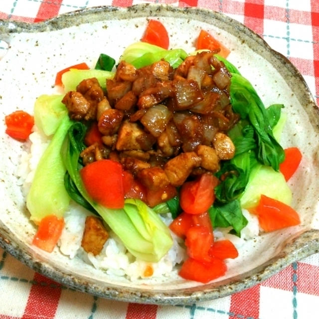 鶏ムネ肉でスパイスご飯