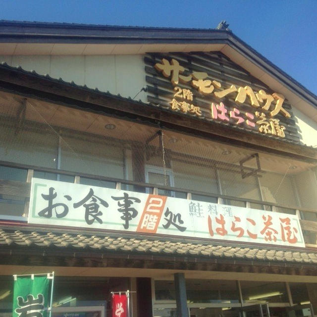 村上市「イヨボヤ会館　鮭公園」