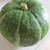 珍しい野菜で