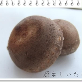 マルシェでお買い物のコト