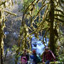 ウォーレスフォールズ州立公園　Hike in Wallace Falls State Park