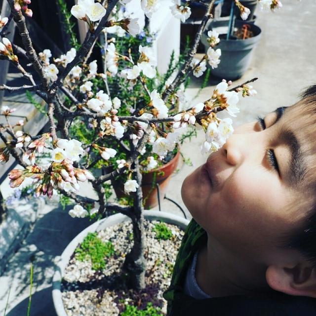 田舎の春です❤