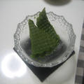 tonさん