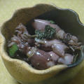 桜貝の想い出さん