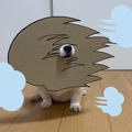 ろこさん