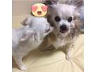 タカコさん