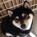 Sachiさん