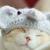 ふじさん
