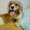 amaunさん