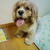 amaun free's life by amaunさん