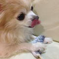 sarshyaさん