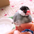 Rikoさん