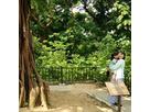 平澤知子さん