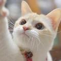 ふーぽんさん
