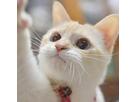 ふーぽんさん