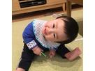 おめぐさん