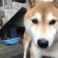 太郎さん