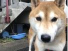 太郎さん