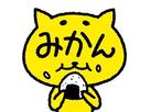 みかんさん
