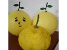 ひろさん