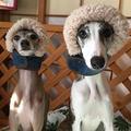 shufonさん