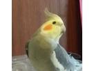 ひろみんさん