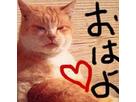 あり萬太郎さん