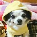 柊さん