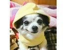 柊さん