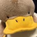 りほさん
