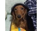 3bros☆mamさん
