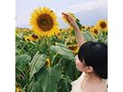 まりなむしさん