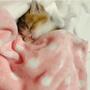 ふちゅさん