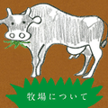 トルコのレシピさん
