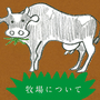 トルコのレシピさん