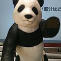 小平美保さん