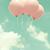 ＊あきんこ＊さん