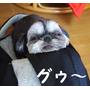 かぶらー隊長さん