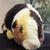 yukivonさん