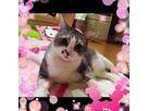 冨本 静江さん