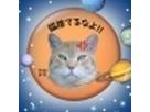 nekojujuさん
