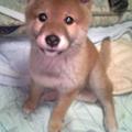 maryukoさん