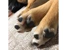 しーずさん