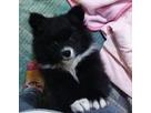 おぎたまさん