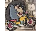 こっこさん