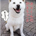 はんぞうさん