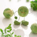 三豆兄弟さん